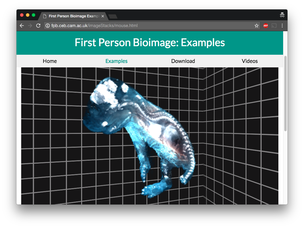 Screenshot of FPBioimage running on an example website.